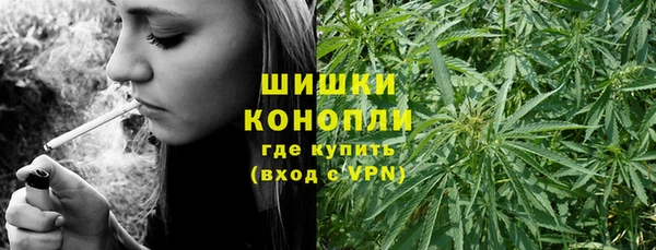 первитин Краснослободск