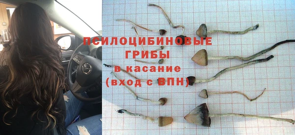 мяу мяу мука Краснотурьинск