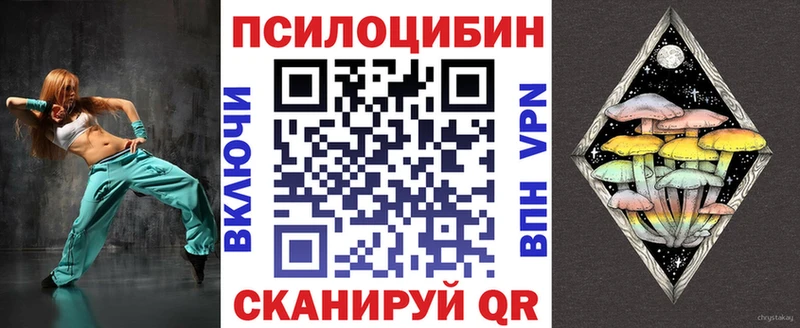 где найти   Нерюнгри  Псилоцибиновые грибы ЛСД 