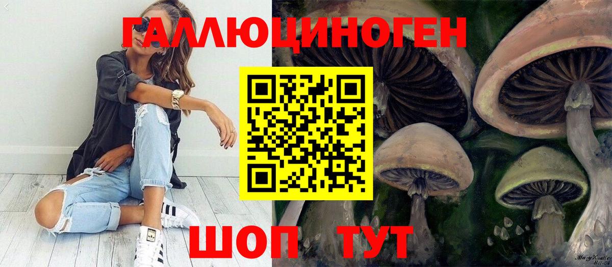 Галлюциногенные грибы мухоморы Нерюнгри