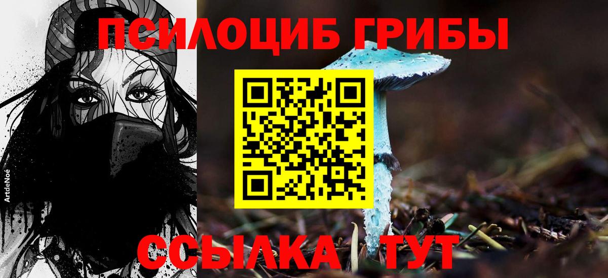 Галлюциногенные грибы MAGIC MUSHROOMS  Псилоцибиновые грибы Psilocybe  Нерюнгри 